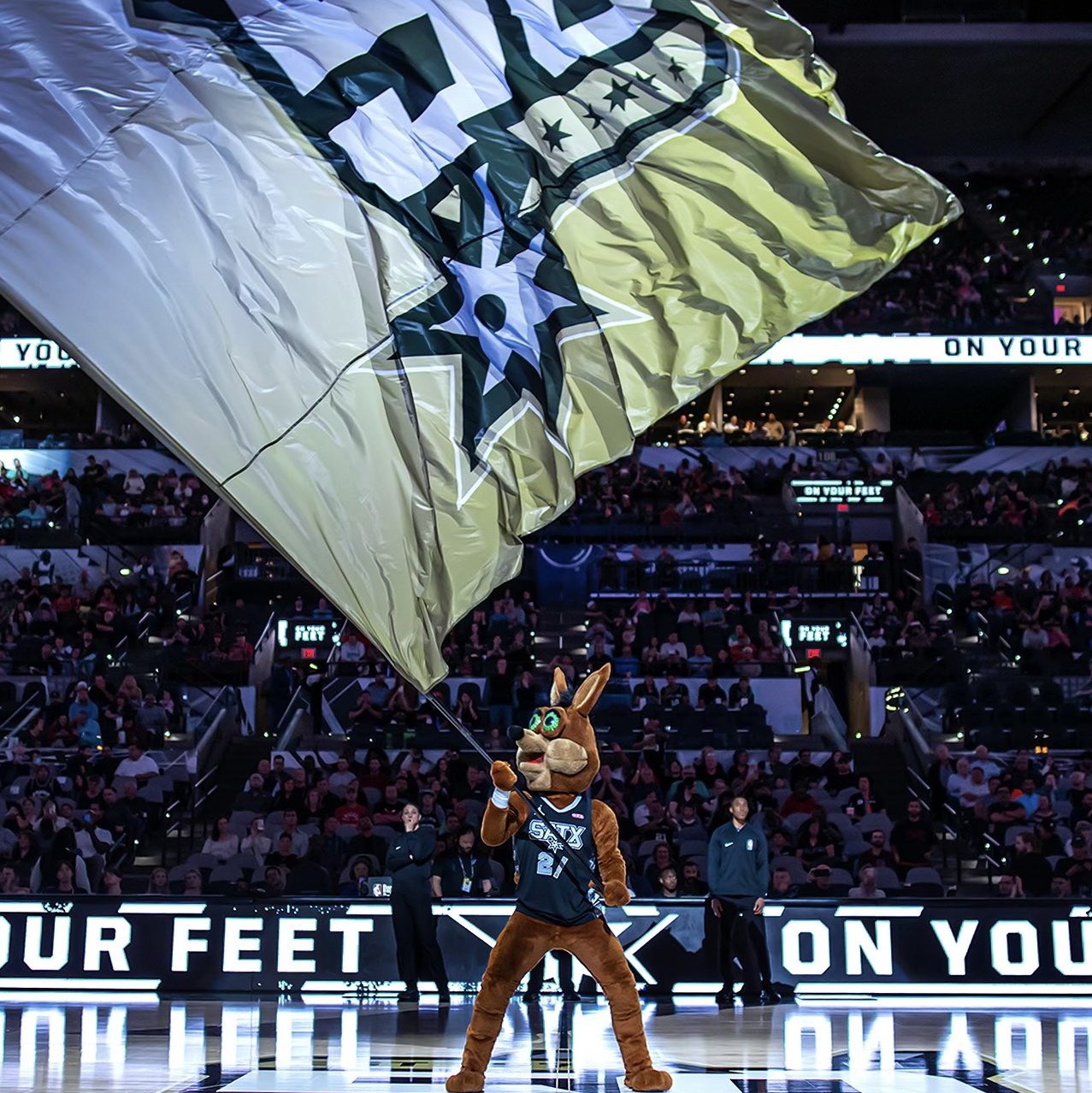 赛中立于不 赛中立于不